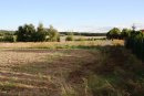  DZIAŁKA W BRZEŹNIE O  POW. 30 ARÓW
